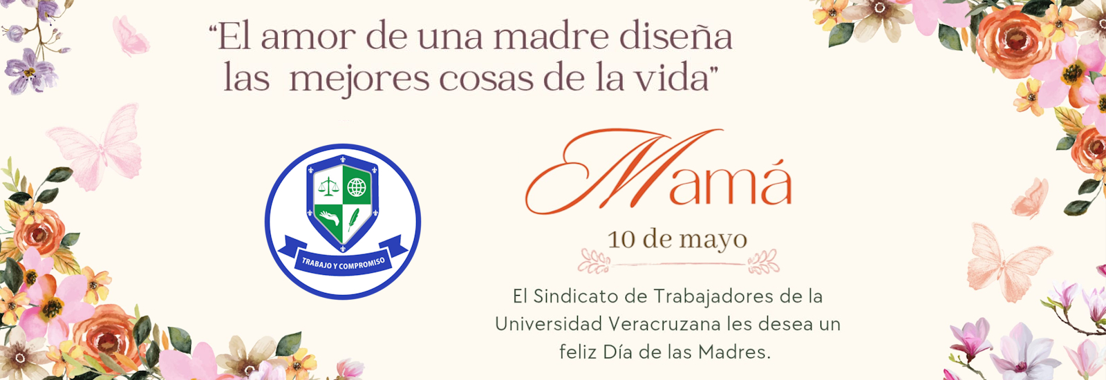 STUV 10 MAYO 2025